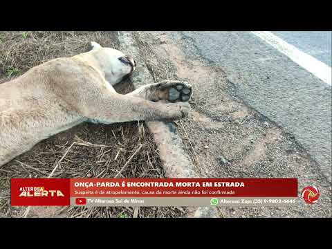 A pauta temática sobre este assunto ganhou relevância regional após a divulgação de novos dados pelo canal TV Alterosa - Sul e Sudoeste de Minas em 04/0...