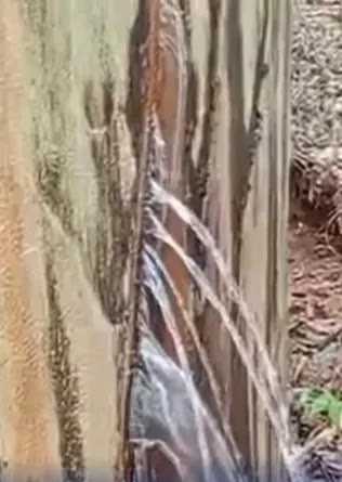 A escassez de água, que já afeta os residentes de Setubinha há múltiplos dias, ganhou um novo patamar de repercussão nesta sexta-feira, 7 de agosto. A a...