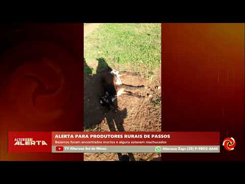A tranquilidade da zona rural de Passos foi abalada por uma série de descobertas perturbadoras. Diversos bezerros foram encontrados mortos, enquanto out...