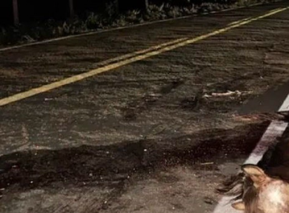 Um grave acidente na rodovia LMG-858, no quilômetro 01, próximo ao município de Descoberto, marcou o último domingo (23). A ocorrência envolveu uma moto...