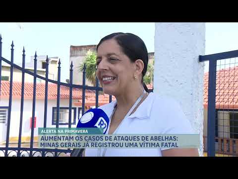 A chegada da primavera tem sido acompanhada por uma notável elevação no registro de ataques de abelhas em diversas regiões de Minas Gerais. O fenômeno a...