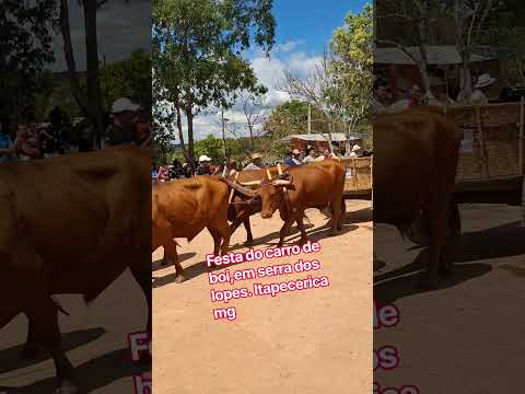 A comunidade de Serra dos Lopes, distrito do município de Itapecerica, em Minas Gerais, anuncia a realização de sua tradicional Festa do Carro de Boi. O...