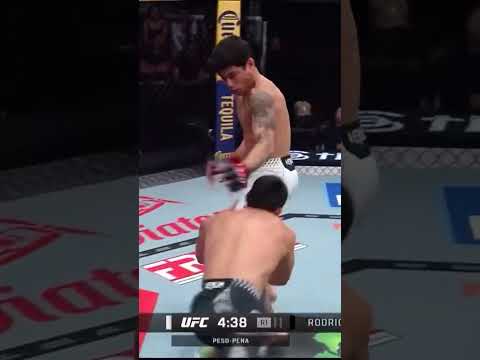 O mundo das artes marciais mistas presenciou um de seus instantes mais vibrantes, com uma luta que culminou em uma finalização relâmpago. A agilidade e ...