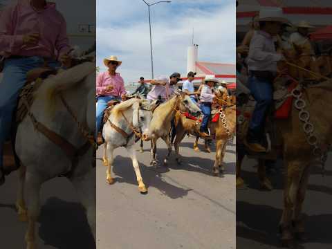 Em matéria veiculada em 20/09/2026, o canal CANAL+MEGHAN FIORELE apresentou relatórios e análises recentes que ganharam espaço ao tratar de Minas Gerais...