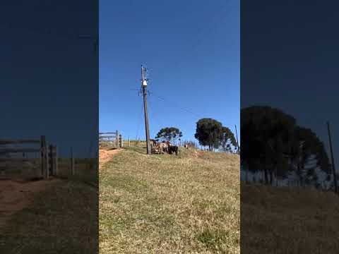 As informações veiculadas em 14/09/2026 pelo canal Luiz Aquino apresentaram fatos recentes sobre Santa Rita de Caldas MG, assunto de grande interesse co...