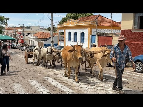 Em matéria veiculada em 15/09/2026, o canal Angelo Português VemComigo apresentou dados e relatos recentes que ganharam repercussão na cidade de Pratápo...
