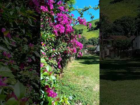Pauta de extrema importância para o público, o vídeo disponibilizado em 21/09/2026 pelo canal Graça Mota trouxe novos ângulos sobre Minas Gerais. O Port...