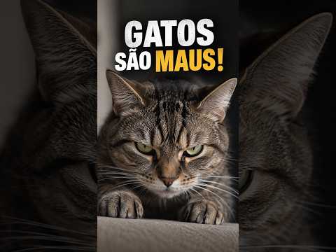 No dia 22/09/2026, pontos de atenção referentes a a verdade sobre foram abordados de forma detalhada na cobertura do canal Doutor Verdade. O Portal Mina...