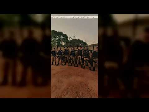 Registrado em 15/09/2026, o boletim informativo do canal JP Agora abordou um tema de grande apelo comunitário na região de Brasilândia de Minas. O Porta...