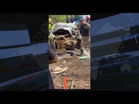 Os desdobramentos mais recentes sobre Onça de Pitangui MG foram pautados pelo canal TVI Pará de Minas em publicação disponibilizada no dia 09/09/2026. O...