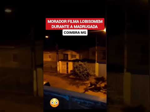 Em transmissão realizada em 12/09/2026, a equipe do canal Senda Hermética pontuou detalhes cruciais sobre os fatos observados em Coimbra MG. O Portal Mi...
