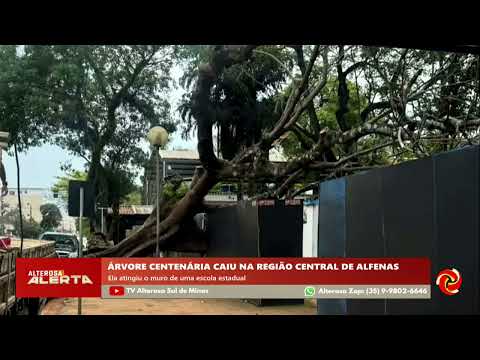 Um incidente que poderia ter tido sérias consequências foi registrado na cidade de Alfenas. Uma árvore de grande porte, com características centenárias,...