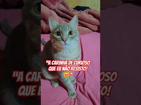 Em publicação realizada em 19/08/2026, o canal YouTube abordou detalhes importantes envolvendo este assunto, pauta que vem mobilizando o interesse públi...