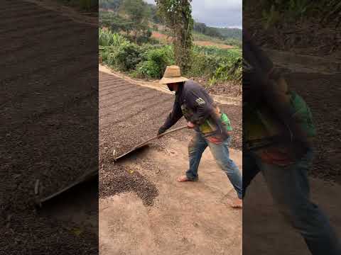 Mais um pra sua lista: o canal YouTube publicou um vídeo que está chamando a atenção. A gente não perdeu tempo e trouxe o vídeo "Vamos juntos: chuva int...