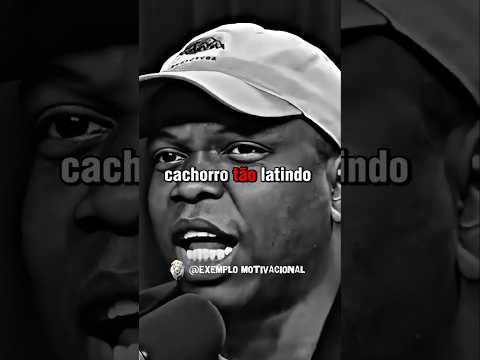 Ó o que a gente achou: um vídeo do canal YouTube que vale o play. A gente não perdeu tempo e trouxe o vídeo "Latidos alheios? Seu foco só faz você cresc...