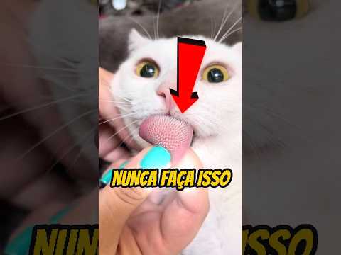 Reparamos nesse vídeo do canal Dino Shorts 🦖 e trouxemos pra você não perder. A gente não perdeu tempo e trouxe o vídeo "Erros fatais: o que tutores jam...