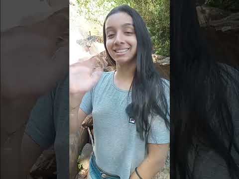 Se liga: vídeo interessante do canal YouTube, publicado em 21/04/2024. A gente não perdeu tempo e trouxe o vídeo "Pedra Dourada, MG: Descubra a joia esc...