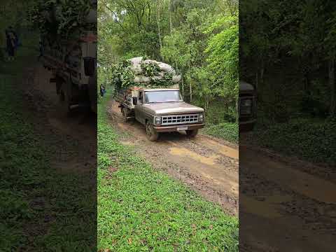 Vídeo do canal YouTube que está circulando por aí — e a gente traz pra cá. A gente não perdeu tempo e trouxe o vídeo "Minas Gerais: caminhos de terra pa...