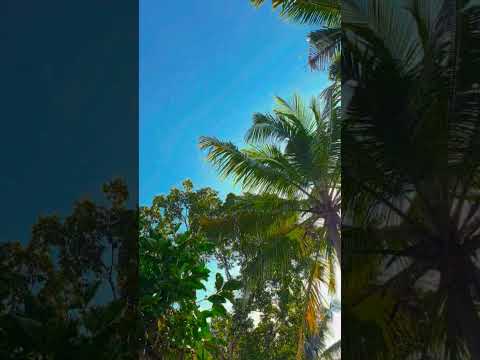 Esse aqui é pra você que curte conteúdo que rende conversa. Vídeo do canal YouTube. A gente não perdeu tempo e trouxe o vídeo "Vida rural: Paz, sons da ...