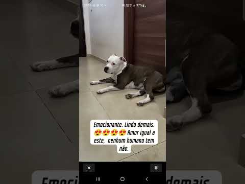 Pegamos esse vídeo do canal YouTube pra você não perder o que está rolando. A gente não perdeu tempo e trouxe o vídeo "Vínculo inquebrável: o poder do a...