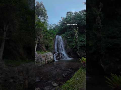 Rolou esse vídeo do canal YouTube e a gente trouxe pra cá — porque aqui a gente não deixa passar. A gente não perdeu tempo e trouxe o vídeo "Descubra as...