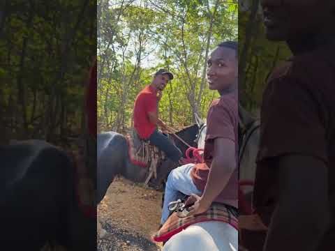 Gente, esse vídeo sobre Santo Hipólito MG apareceu e a gente não podia deixar passar! A gente não perdeu tempo e trouxe o vídeo "Santo Hipólito MG: Nova...