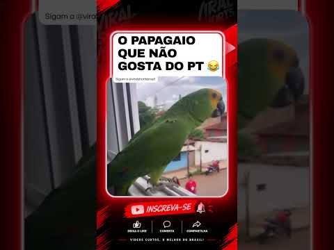 Separa um minutinho que esse vídeo vale a pena. Créditos: canal YouTube. A gente não perdeu tempo e trouxe o vídeo "Papagaio diverte a web com antipatia...