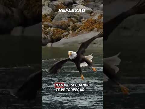 Atenção que esse vídeo merece seu clique! Produção do canal YouTube. A gente não perdeu tempo e trouxe o vídeo "Inveja alheia: blinde sua mente e preser...