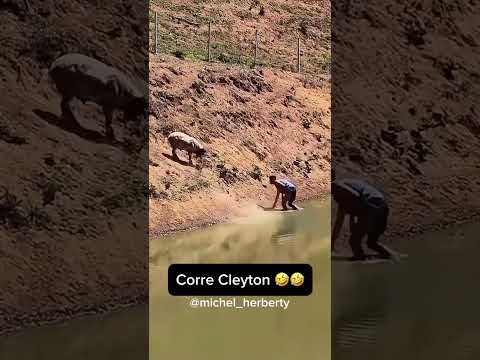 Caiu na rede esse vídeo do canal YouTube e resolvemos trazer pra cá. A gente não perdeu tempo e trouxe o vídeo "Minas Gerais: Lendas mineiras: Cleyton á...
