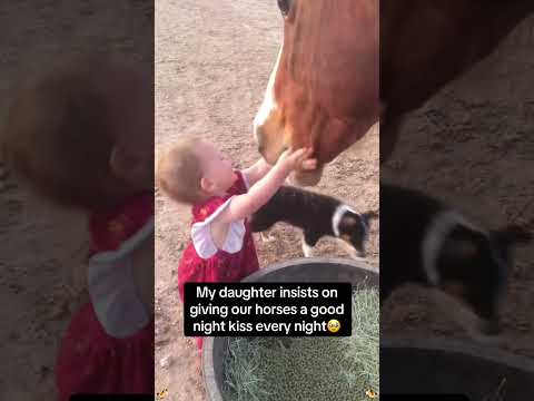 Se liga: vídeo interessante do canal YouTube, publicado em 26/07/2026. A gente não perdeu tempo e trouxe o vídeo "A paixão equina: Cavalos, os eternos c...