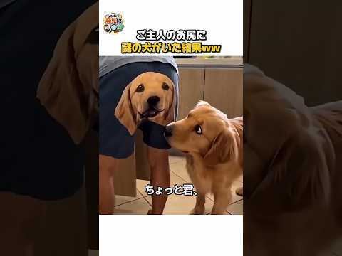 Vídeo novo no pedaço! Direto do canal YouTube, com data de 14/09/2026. A gente não perdeu tempo e trouxe o vídeo "Gafe viral: cão misterioso aparece no ...