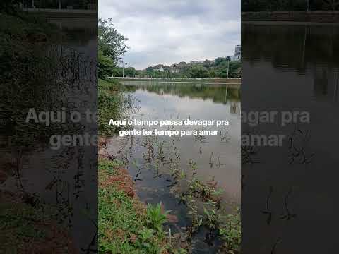 Vídeo do canal Ouro Fino MG - Sul de Minas que está circulando por aí — e a gente traz pra cá. A gente não perdeu tempo e trouxe o vídeo "Minas Gerais: ...