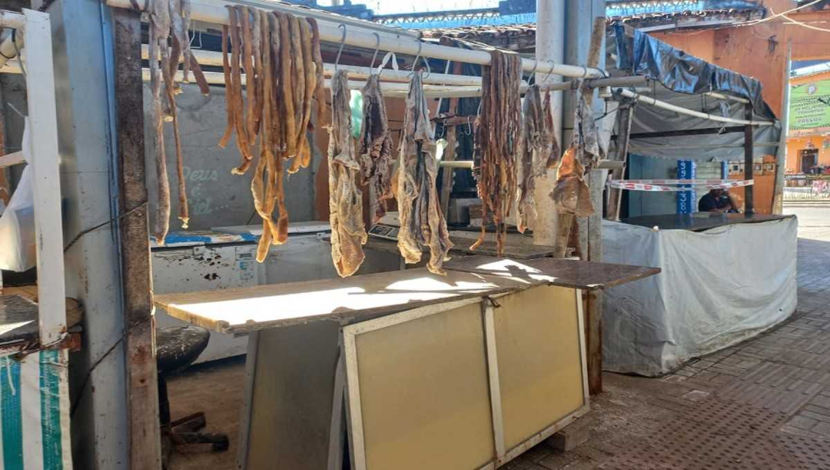 Uma expressiva quantidade de produtos cárneos, totalizando cerca de 1,4 tonelada, foi apreendida em um estabelecimento comercial no município de Almenar...