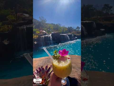 Rolou esse vídeo do canal YouTube e a gente trouxe pra cá — porque aqui a gente não deixa passar. A gente não perdeu tempo e trouxe o vídeo "Minas Gerai...
