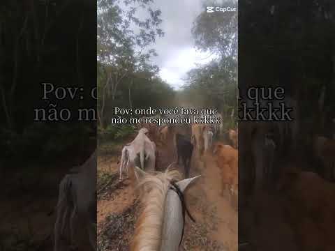 Mais um pra sua lista: o canal YouTube publicou um vídeo que está chamando a atenção. A gente não perdeu tempo e trouxe o vídeo "Acesso no campo: Infrae...