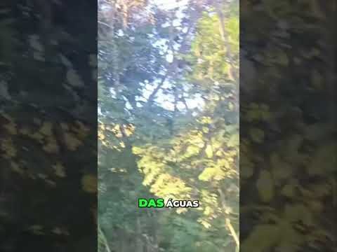 Esse aqui é pra você que curte saber o que rola em Cambuí MG. Vídeo do canal Kevilly Wanessa , sem enrolação. A gente não perdeu tempo e trouxe o vídeo ...