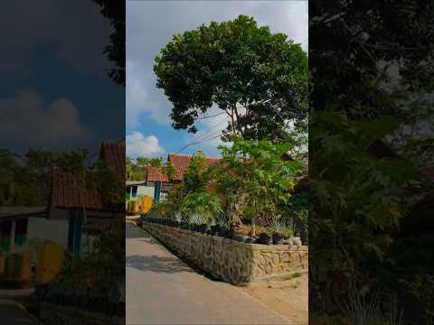 Achamos esse conteúdo de YouTube e pensamos: “isso combina com o Portal Minas”. A gente não perdeu tempo e trouxe o conteúdo "Descubra a tranquilidade d...