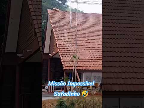 Pegamos esse conteúdo de YouTube pra você não perder o que está rolando. A gente não perdeu tempo e trouxe o conteúdo "A alegria dos pets: como eles mel...