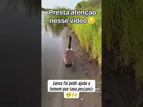 Conteúdo novo no pedaço! Produzido por YouTube, com data de 01/10/2026. A gente não perdeu tempo e trouxe o conteúdo "Verdade divina: reflexões profunda...