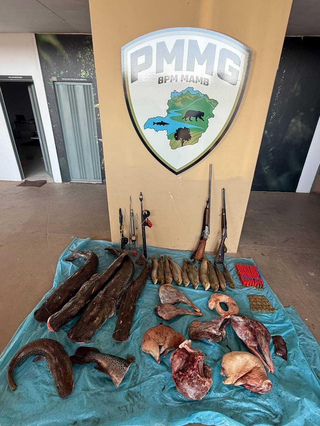 A Polícia Militar de Minas Gerais realizou uma significativa apreensão de carne de caça ilegal no município de Urucuia, na tarde de 2 de outubro de 2026...