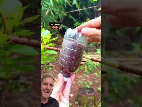 Rolou esse material de YouTube e a gente trouxe pra cá — porque aqui a gente não deixa passar. A gente não perdeu tempo e trouxe o conteúdo "Horta em ca...
