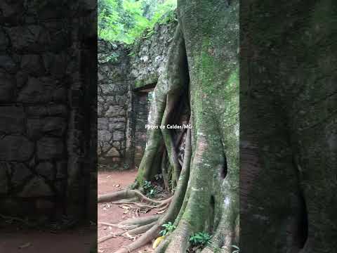 Conteúdo novo no pedaço! Produzido por YouTube, com data de 24/07/2024. A gente não perdeu tempo e trouxe o conteúdo "Minas Gerais: Guia completo para e...