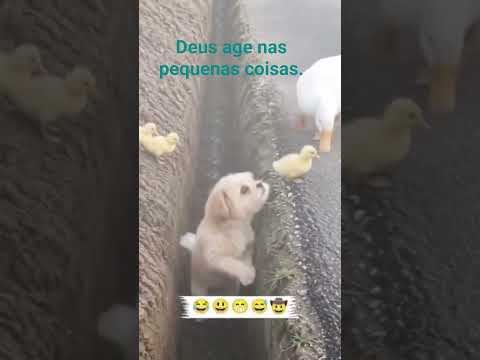 Conteúdo novo no pedaço! Produzido por YouTube, com data de 26/07/2026. A gente não perdeu tempo e trouxe o conteúdo "Juntos somos mais fortes: a vitóri...