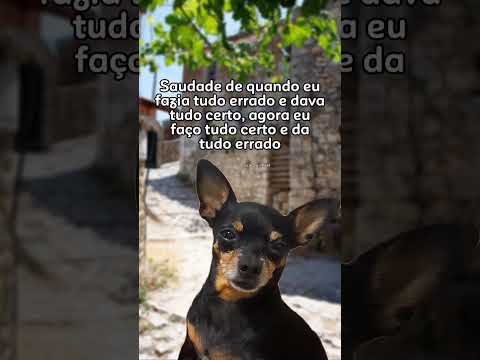 Esse aqui é pra você que curte conteúdo que rende conversa. Produção de YouTube. A gente não perdeu tempo e trouxe o conteúdo "A mais pura verdade sobre...