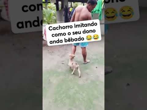 Se liga: material interessante produzido por YouTube, publicado em 30/09/2026. A gente não perdeu tempo e trouxe o conteúdo "Viralizou! Cachorro copia o...