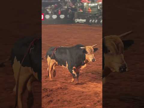 Pegamos esse conteúdo de Arena Bulls pra você não perder o que está rolando. A gente não perdeu tempo e trouxe o conteúdo "Desafio MG 2024: Acesso Negad...