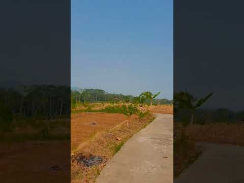 Se liga: material interessante produzido por nossa produção, publicado em 16/08/2026. A gente não perdeu tempo e trouxe o conteúdo "A tranquilidade do c...