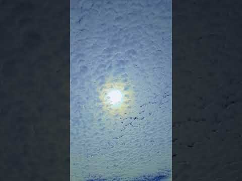 Rolou esse material de nossa produção e a gente trouxe pra cá — porque aqui a gente não deixa passar. A gente não perdeu tempo e trouxe o conteúdo "Pai,...