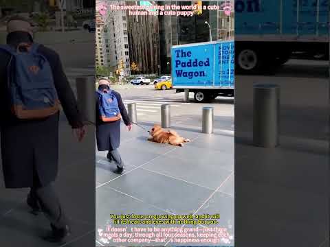 Apareceu esse conteúdo produzido por nossa produção e achamos que você precisa ver. A gente não perdeu tempo e trouxe o conteúdo "Cães: a amizade incond...