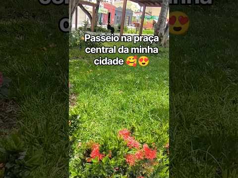 Ó o que a gente achou: um conteúdo de SILVANIA SOL & seus pets que vale o play. A gente não perdeu tempo e trouxe o conteúdo "Minas Gerais: Descubra a a...